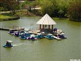 Luis Muñoz Marín Park - SAN JUAN